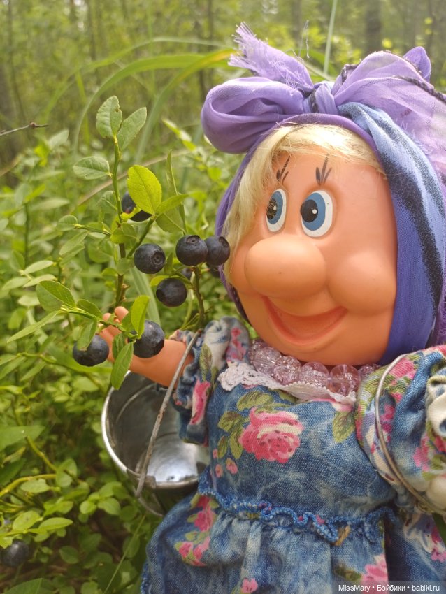 Как Фаина с Анфисой за черникой ходили🫐 (фото 8)