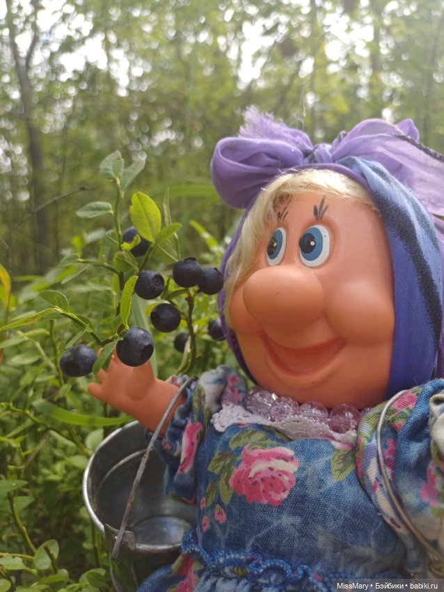 Как Фаина с Анфисой за черникой ходили🫐 (фото 9)