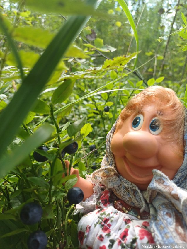 Как Фаина с Анфисой за черникой ходили🫐 (фото 7)