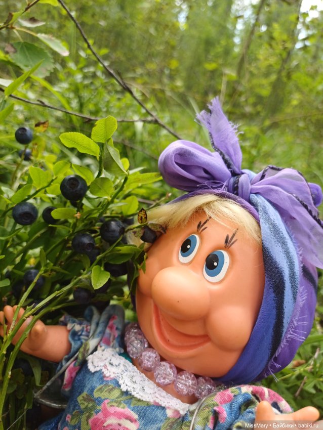 Как Фаина с Анфисой за черникой ходили🫐