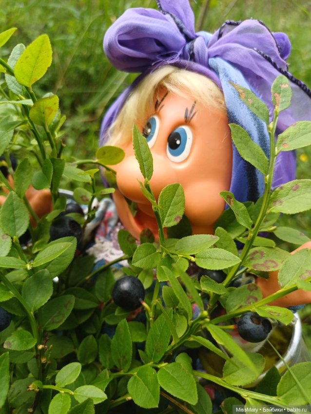 Как Фаина с Анфисой за черникой ходили🫐