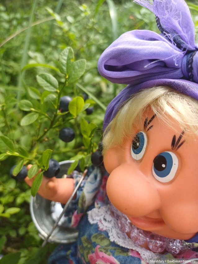 Как Фаина с Анфисой за черникой ходили🫐 (фото 10)