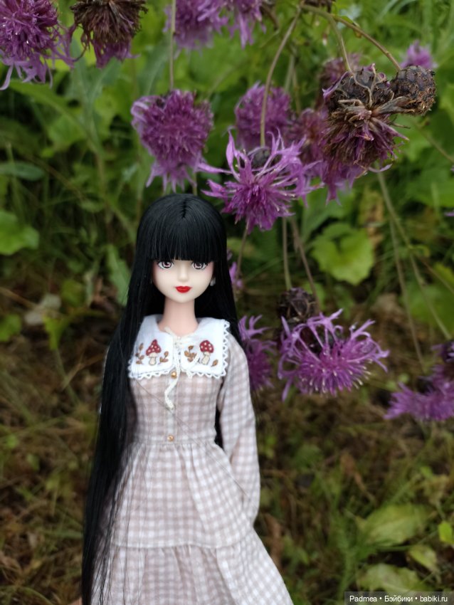 Куклы Takara Tomy (Такара): Licca (Ликка)