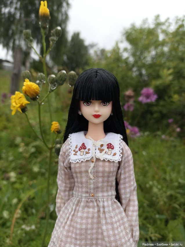Куклы Takara Tomy (Такара): Licca (Ликка) (фото 10)