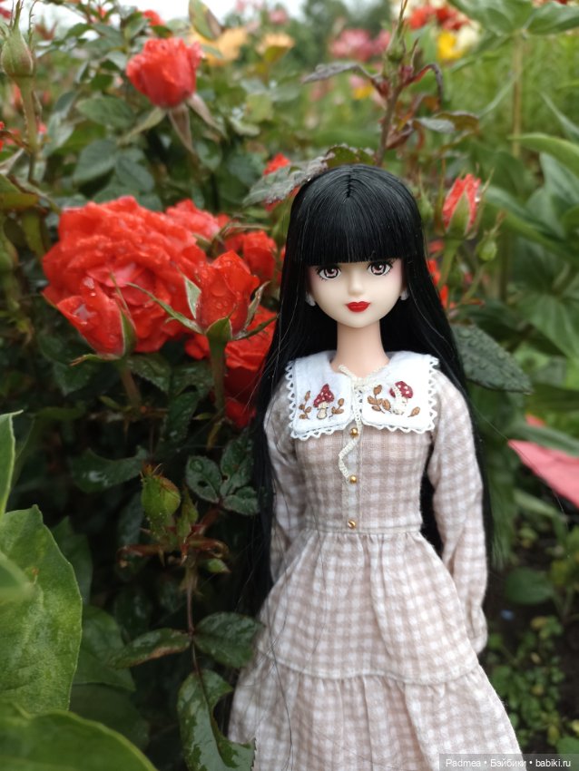 Куклы Takara Tomy (Такара): Licca (Ликка)