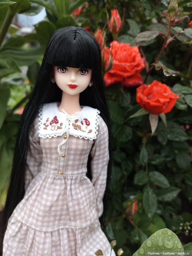 Куклы Takara Tomy (Такара): Licca (Ликка)