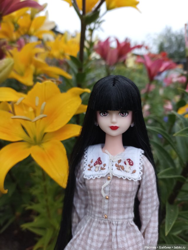 Куклы Takara Tomy (Такара): Licca (Ликка)