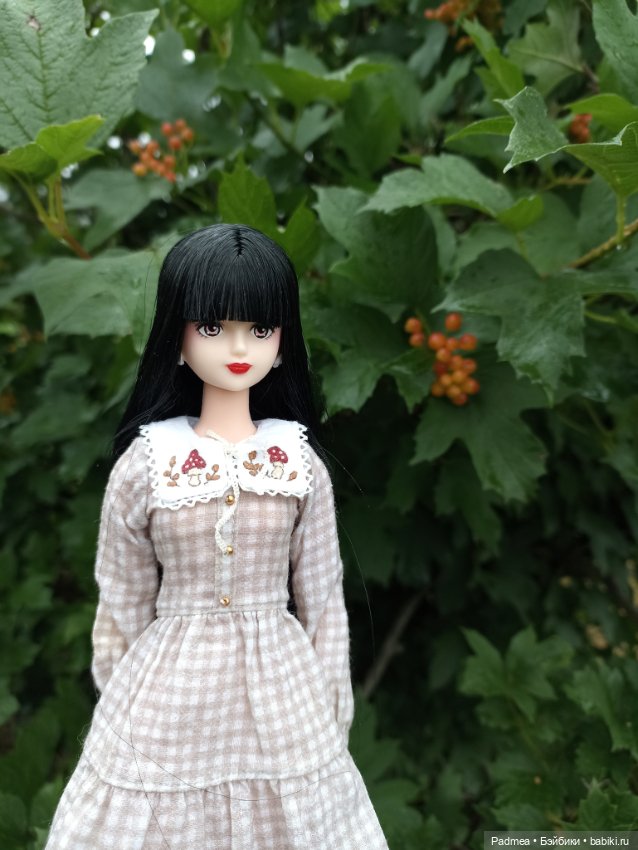 Куклы Takara Tomy (Такара): Licca (Ликка)