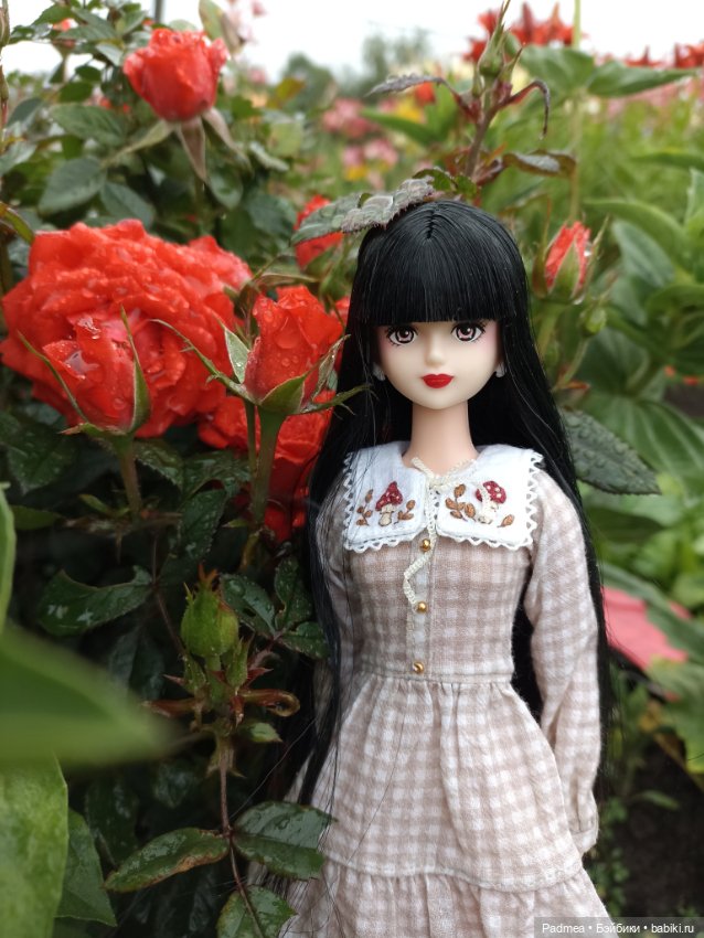 Куклы Takara Tomy (Такара): Licca (Ликка)