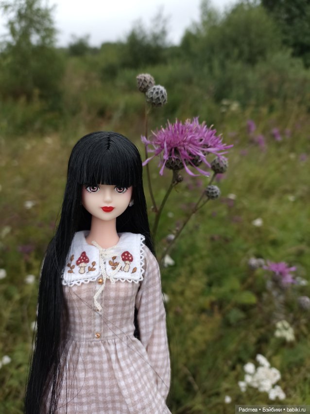 Куклы Takara Tomy (Такара): Licca (Ликка) (фото 3)