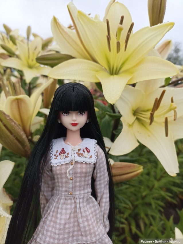 Куклы Takara Tomy (Такара): Licca (Ликка)