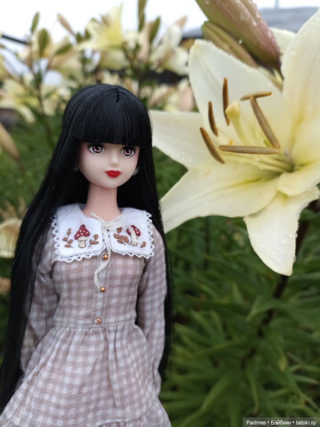 Куклы Takara Tomy (Такара): Licca (Ликка)