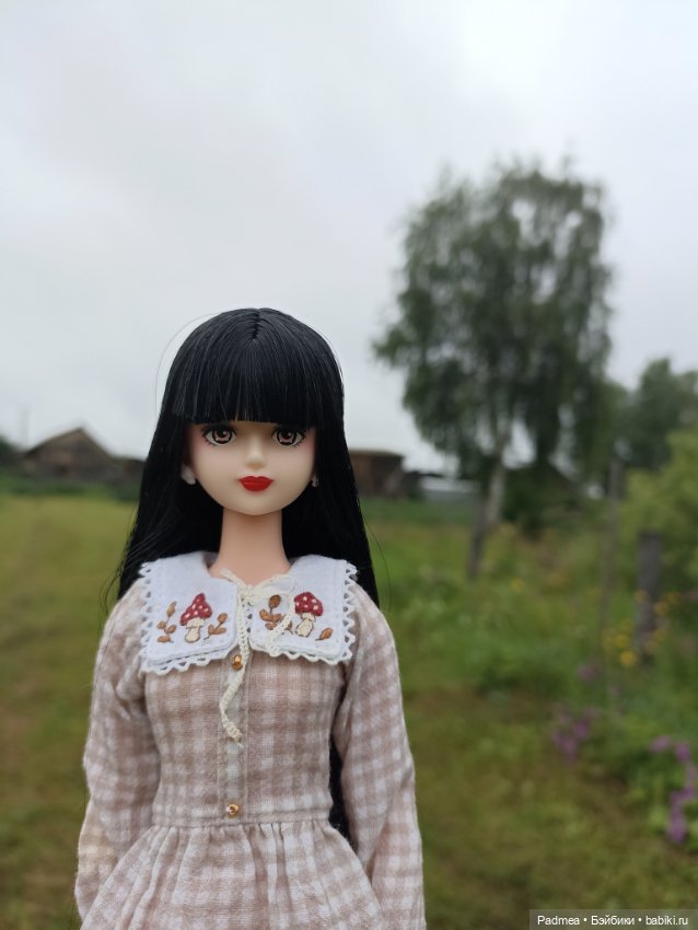 Куклы Takara Tomy (Такара): Licca (Ликка) (фото 9)