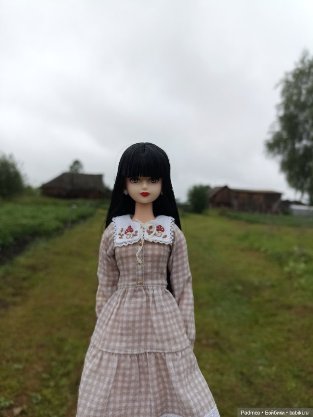 Куклы Takara Tomy (Такара): Licca (Ликка) (фото 8)