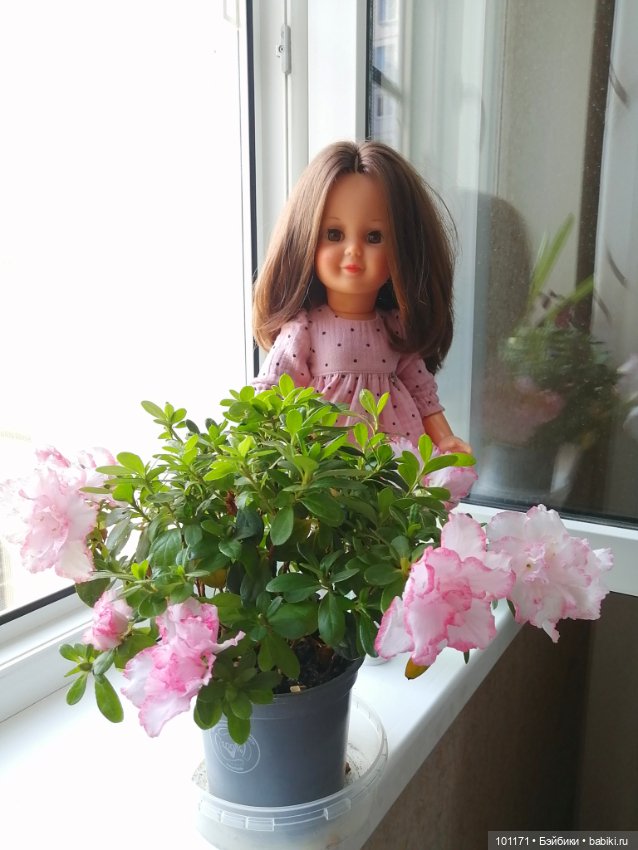 "Черепашка" (Schildkrot) Ивушка гостит у друзей (фото 2)