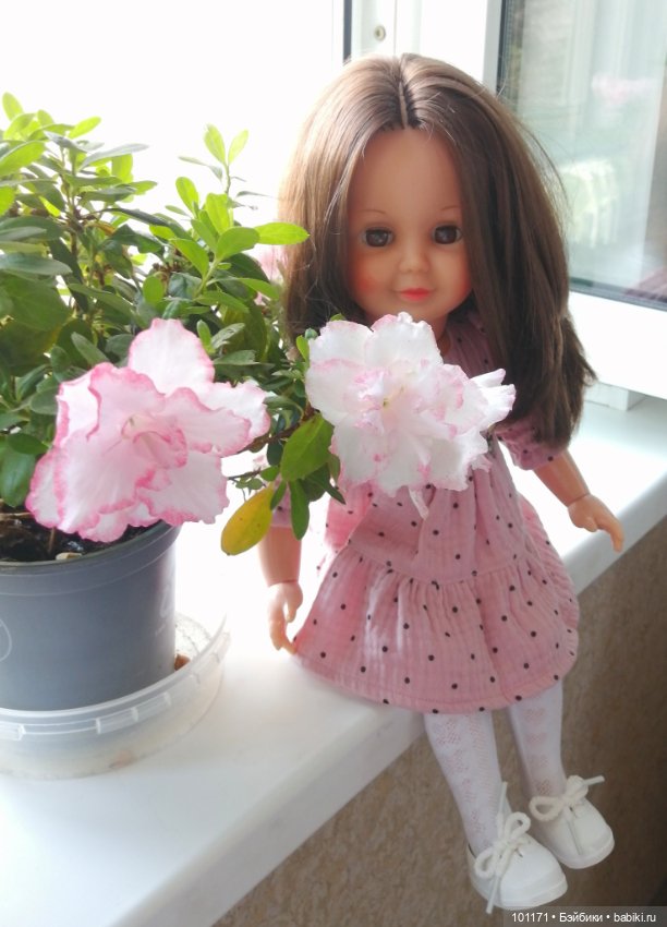 "Черепашка" (Schildkrot) Ивушка гостит у друзей