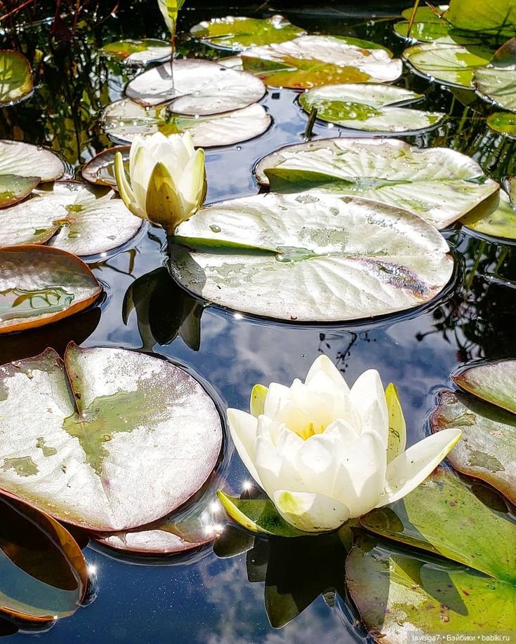 Июль - море, река - аквамарин, нефрит