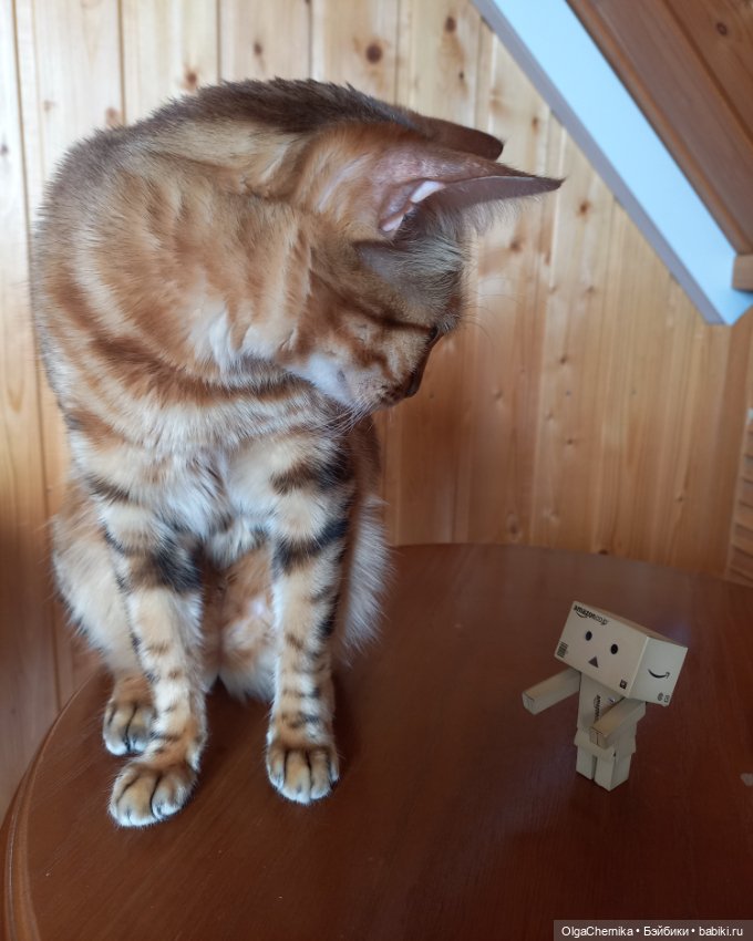 Один день глазами Данбо — Коллекционные фигурки (разное): животные