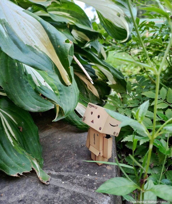 Один день глазами Данбо — Коллекционные фигурки (разное): животные (фото 7)