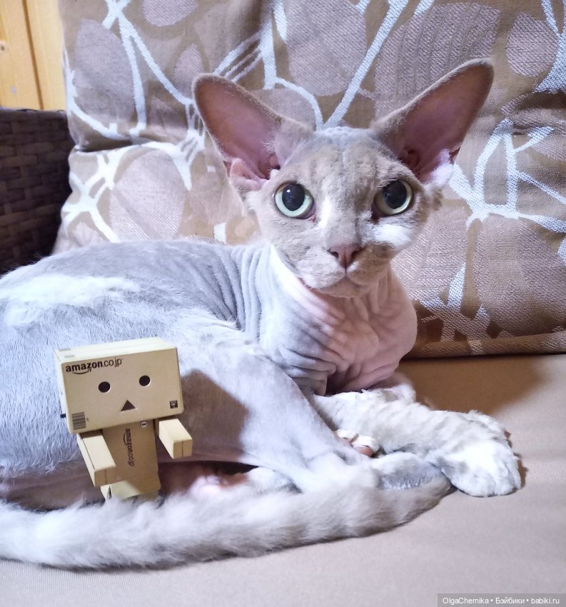 Один день глазами Данбо — Коллекционные фигурки (разное): животные (фото 10)