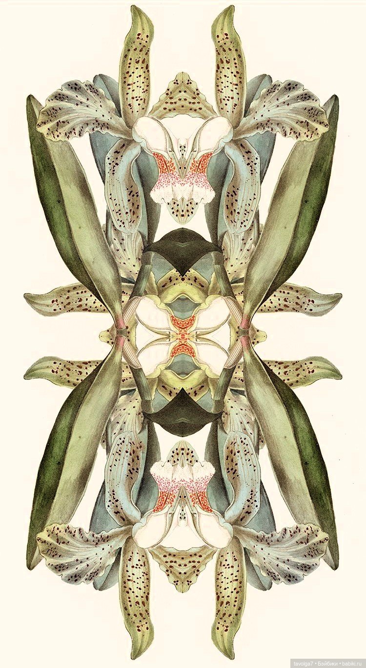 Июль - прохлада микс — Болталка и разговоры обо всем: жизнь