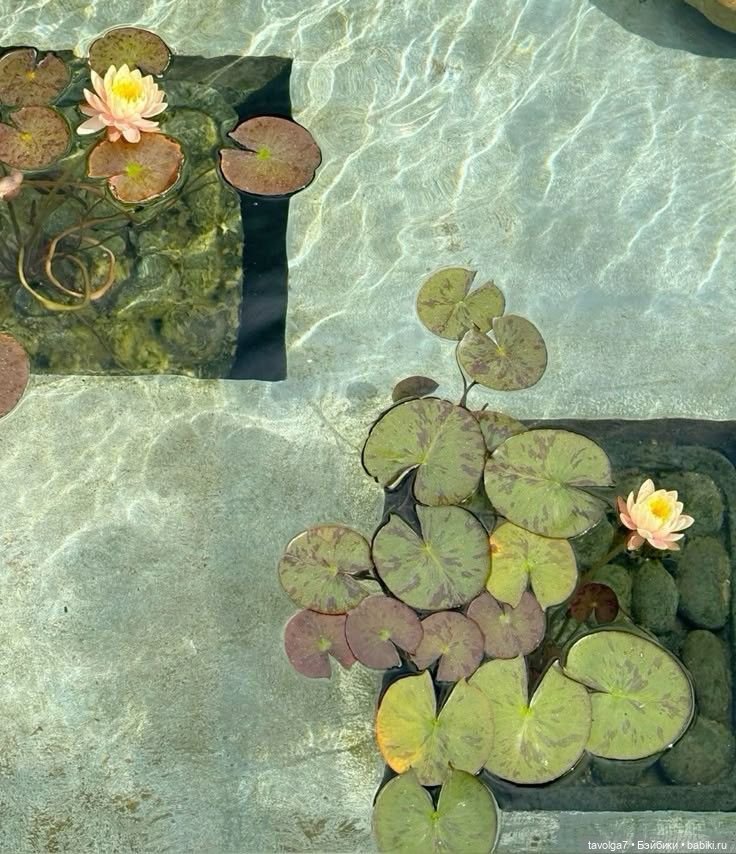 Июль - прохлада микс — Болталка и разговоры обо всем: жизнь