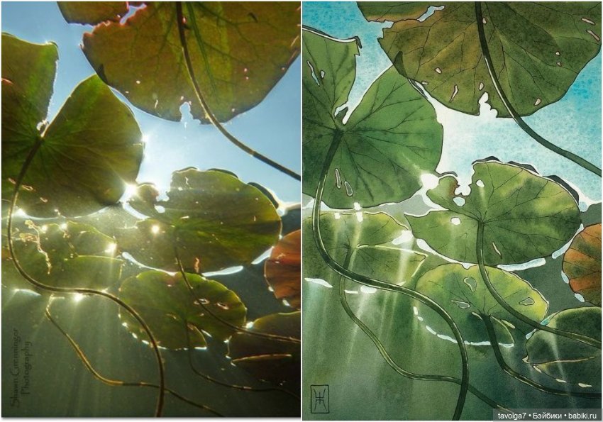 Июль - прохлада микс — Болталка и разговоры обо всем: жизнь