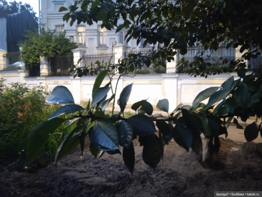 Лугнасад — Рисование и арт: скетчи