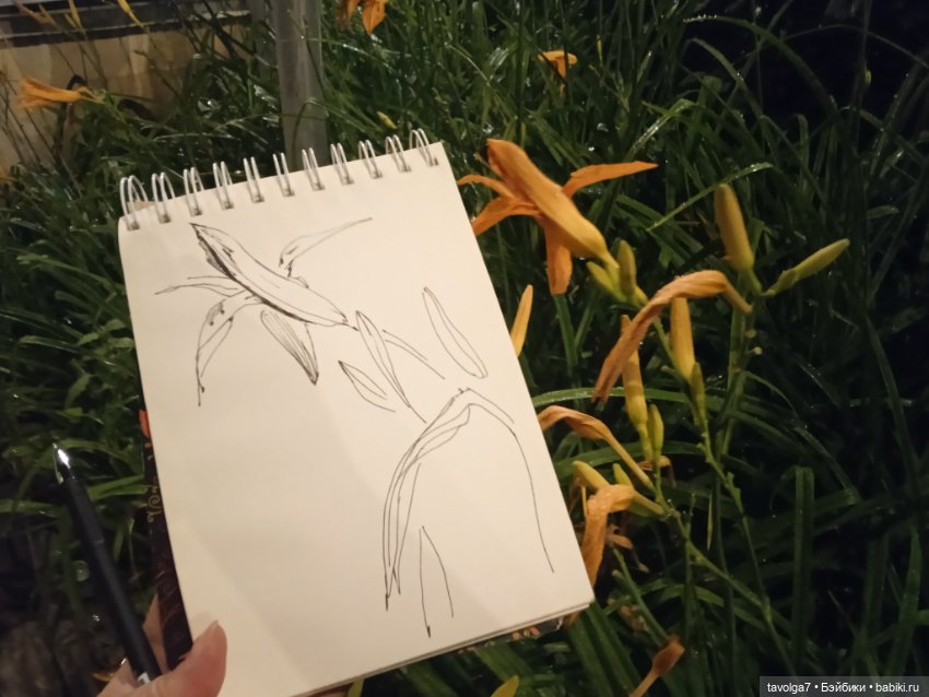 Лугнасад — Рисование и арт: скетчи