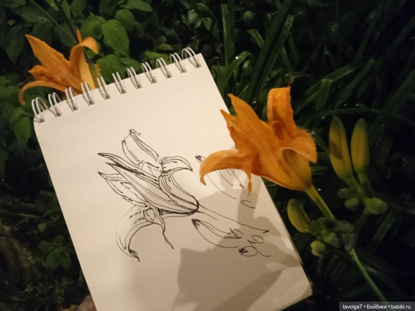 Лугнасад — Рисование и арт: скетчи