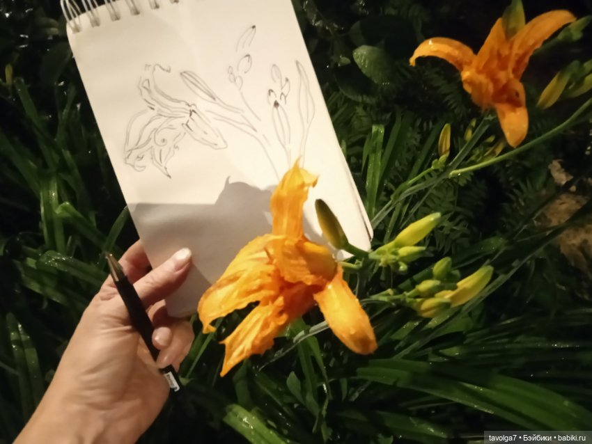 Лугнасад — Рисование и арт: скетчи