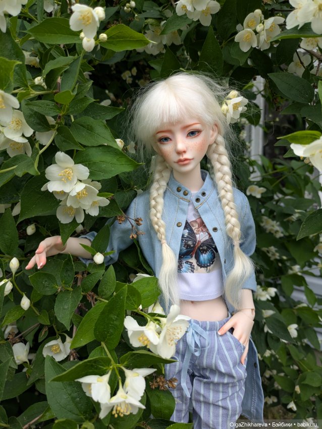 Моя Солнечная Zaoll☀️🏵️🌾🌸🍓