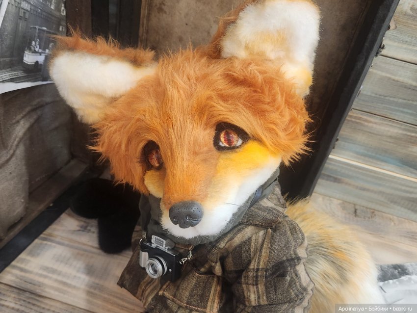 Люмьер (Lumiere)- лис-фотограф (фото 4)