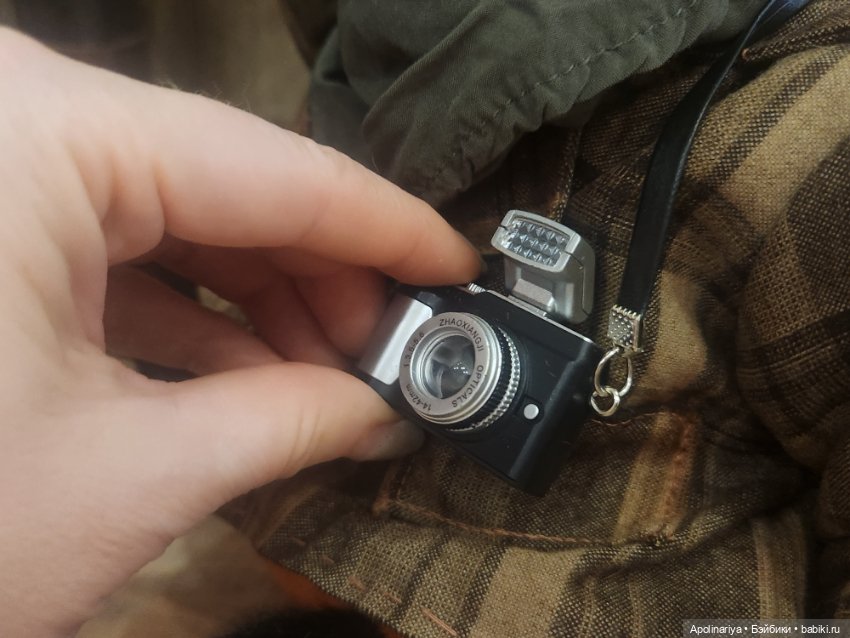 Люмьер (Lumiere)- лис-фотограф