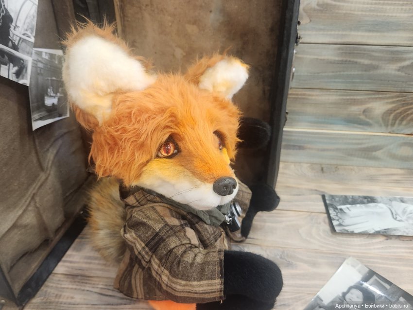 Люмьер (Lumiere)- лис-фотограф (фото 8)