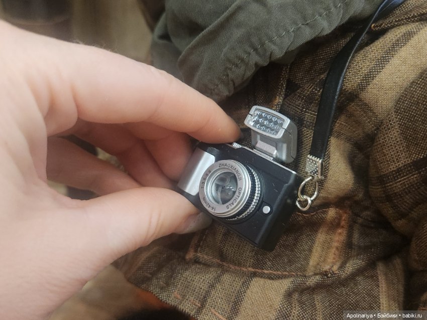 Люмьер (Lumiere)- лис-фотограф