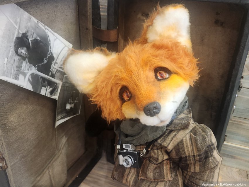 Люмьер (Lumiere)- лис-фотограф