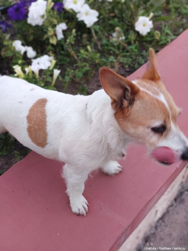 До свидания, отпуск! Кукольные зарисовки напоследок (фото 9)