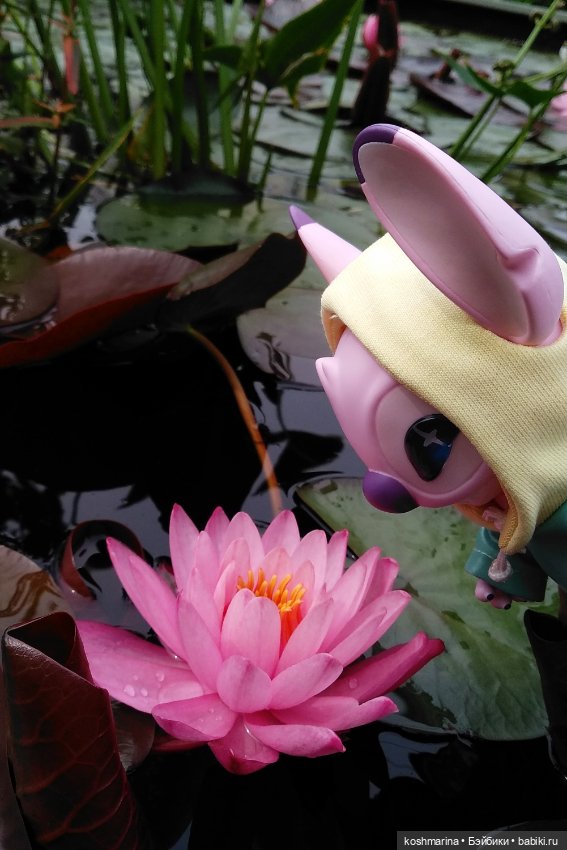 Прогулка по центру Москвы в отличной компании