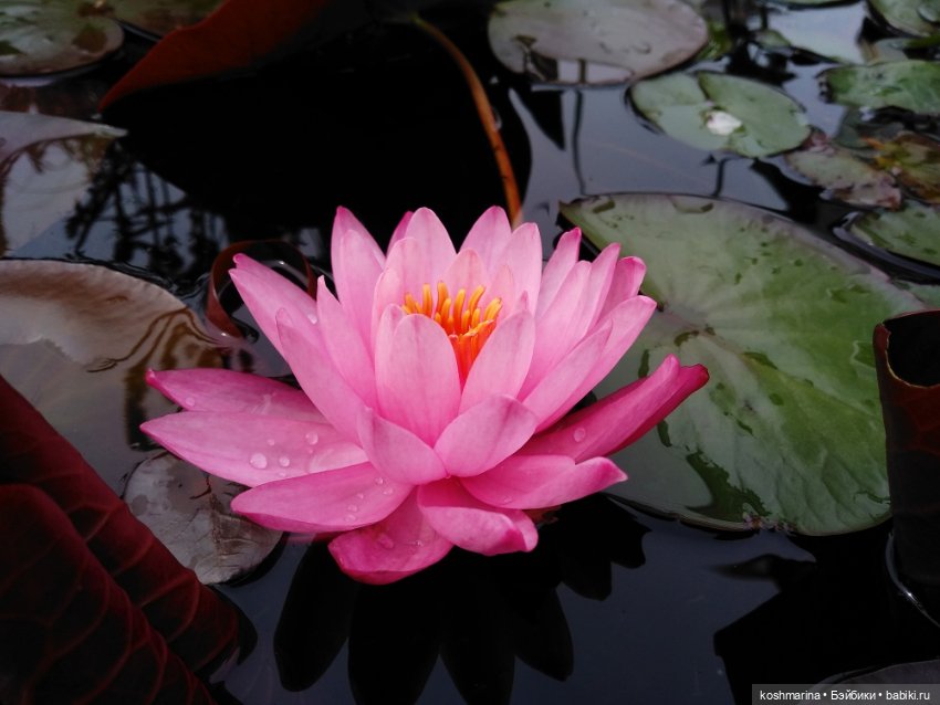 Прогулка по центру Москвы в отличной компании