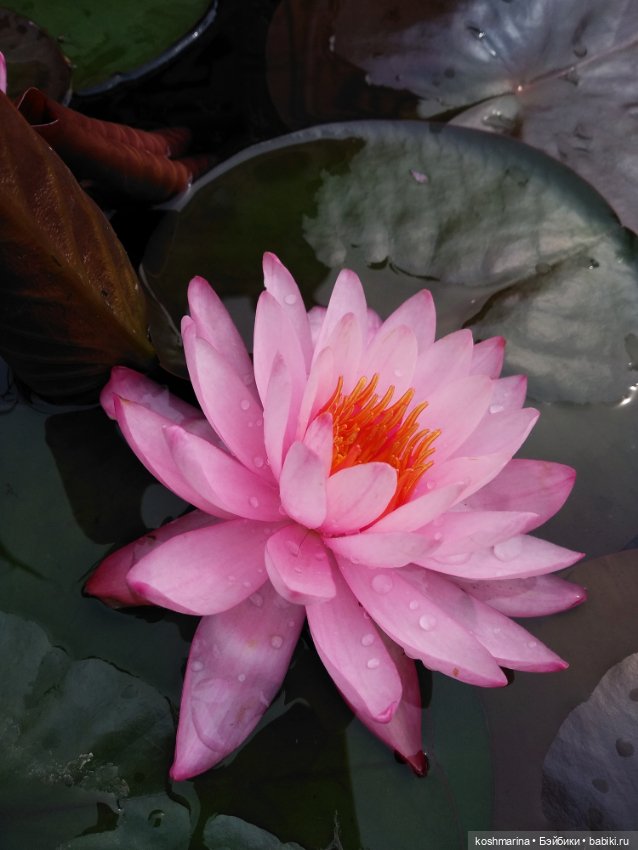 Прогулка по центру Москвы в отличной компании