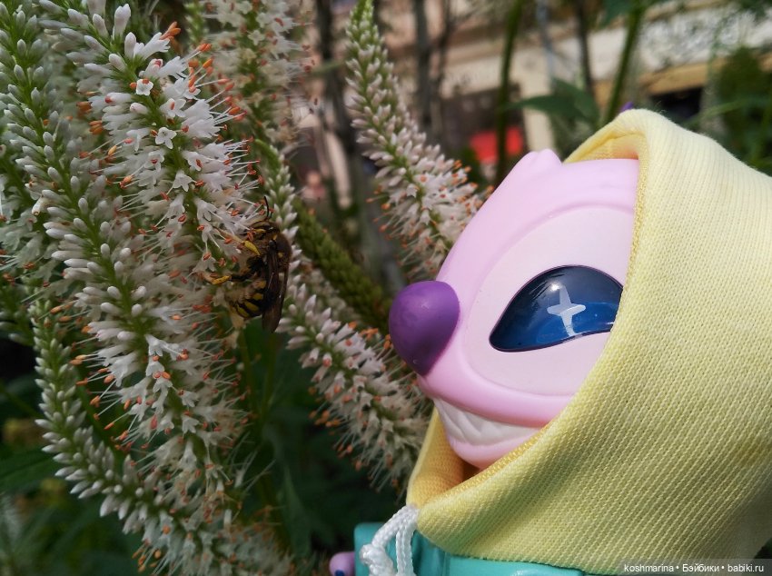 Прогулка по центру Москвы в отличной компании