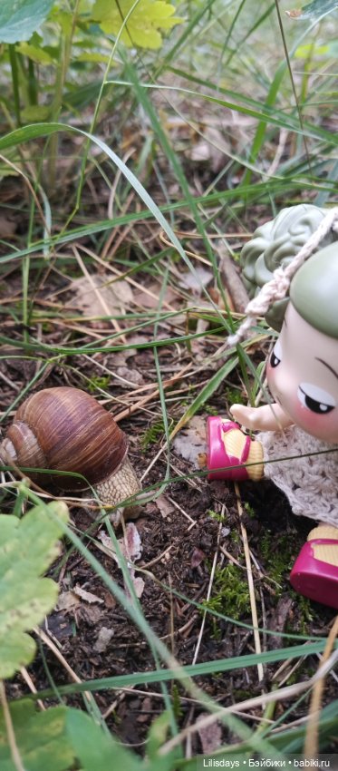 Прогулка с милой Ddung — Куклы Ddung (Дданг): Корейские пупсы (фото 10)