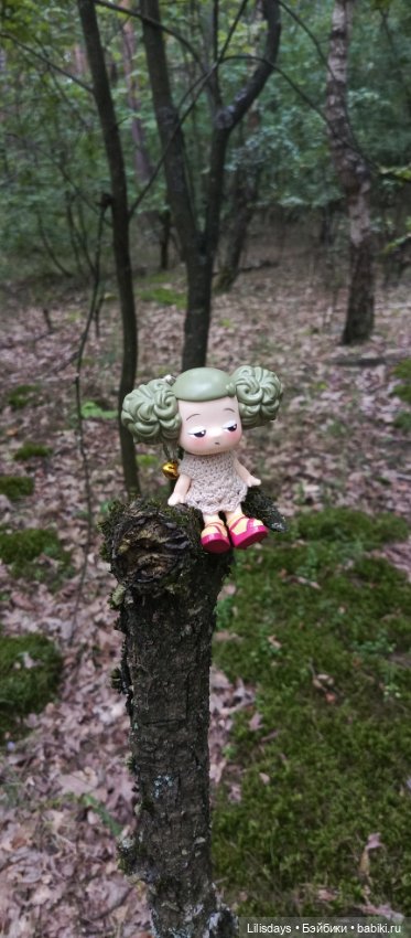 Прогулка с милой Ddung — Куклы Ddung (Дданг): Корейские пупсы (фото 8)