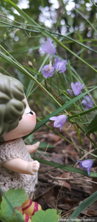 Прогулка с милой Ddung — Куклы Ddung (Дданг): Корейские пупсы (фото 5)