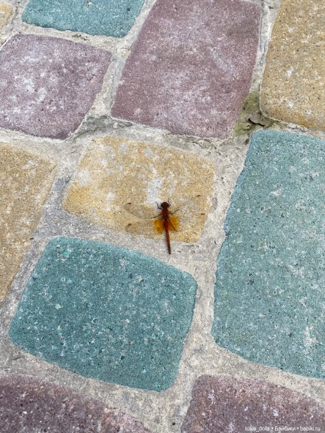 Гуляем с Мики и Мими — Домашние фото авторских кукол: личные коллекции (фото 4)