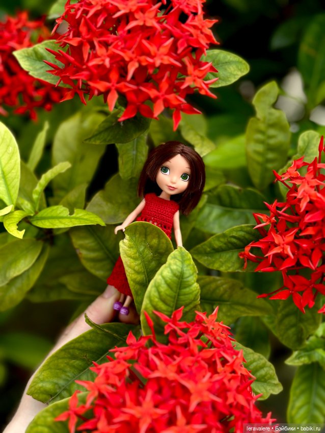 Джейд-подруга Софии прекрасной (фото 8)