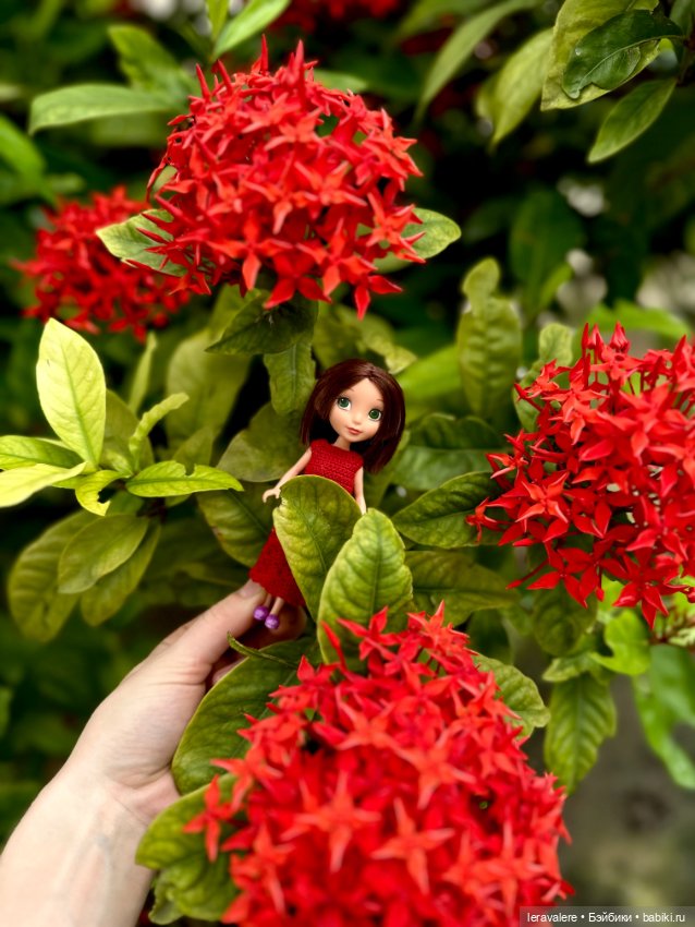 Джейд-подруга Софии прекрасной (фото 7)