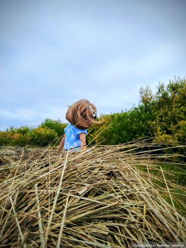 Август. Поле — Куклы Fairyland (ФэйриЛэнд): BJD (БЖД) (фото 10)