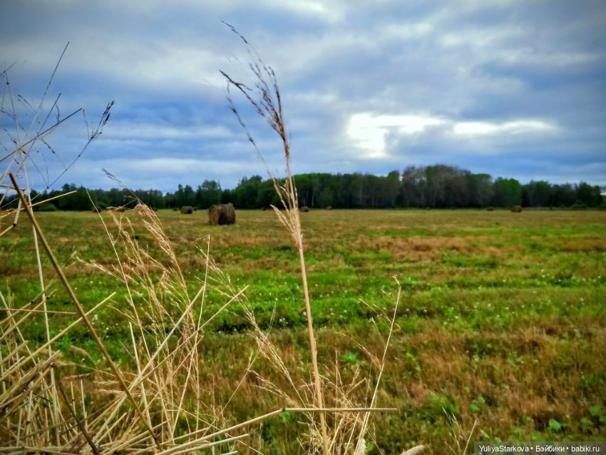 Август. Поле — Куклы Fairyland (ФэйриЛэнд): BJD (БЖД)